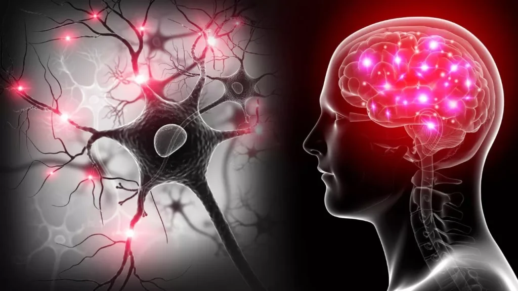 neurological diseases DoctorHub360