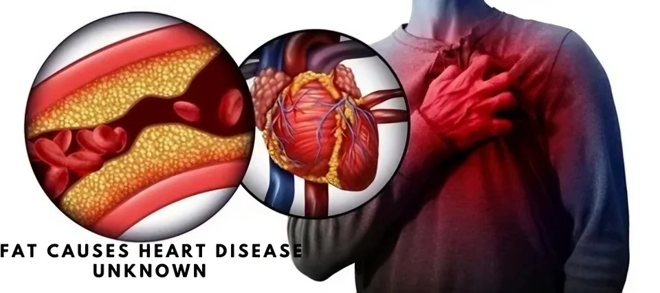 Mechanism Of Action How Fat Causes Heart Disease Unknown​